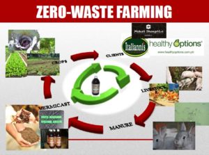 costales-zero-waste-farming