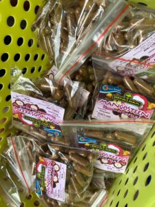 GerNil Farm Exploring Organic Farms Tour mangosteen