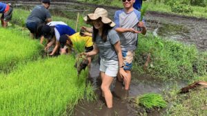 Felicidad Orchard & Garden Organics