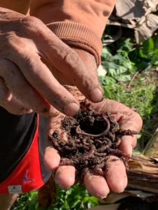 Felicidad Orchard & Garden Organics