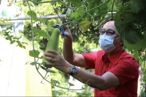 Ceremonial Harvest Event Caps Off Farmers’ and Fisherfolk’s Month