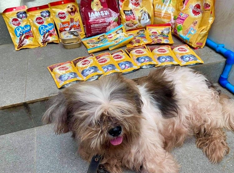 Pedigree Products on Shopee